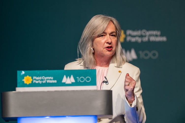 Liz Saville Roberts MP (Plaid Cymru)