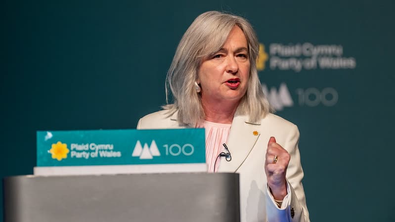 Plaid Cymru Warns Against Digital ID Over Civil Liberties and Digit...