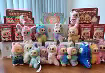 Counterfeit soft toys removed in Pembrokeshire, addressing safety concerns