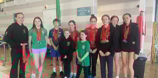 Impressive medal haul for Tenby Dolphins
