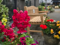 Saundersfoot celebrates Wales in Bloom success