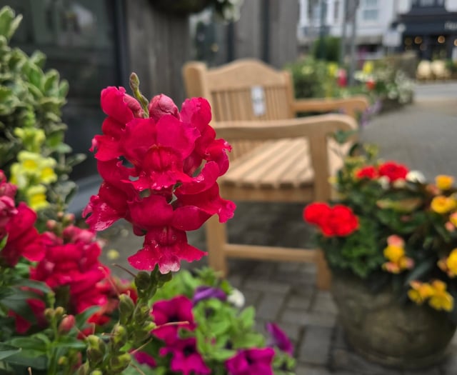 Saundersfoot celebrates Wales in Bloom success