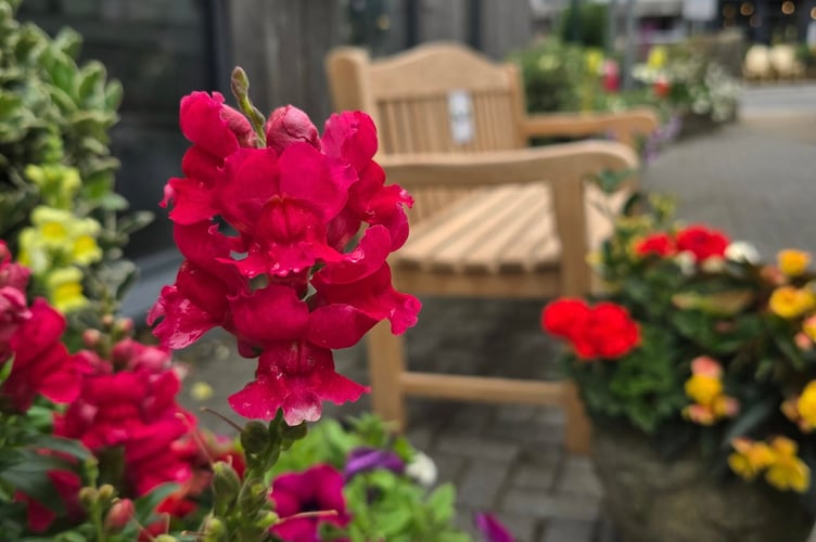 Saundersfoot has enjoyed success at the Wales in Bloom awards once again.