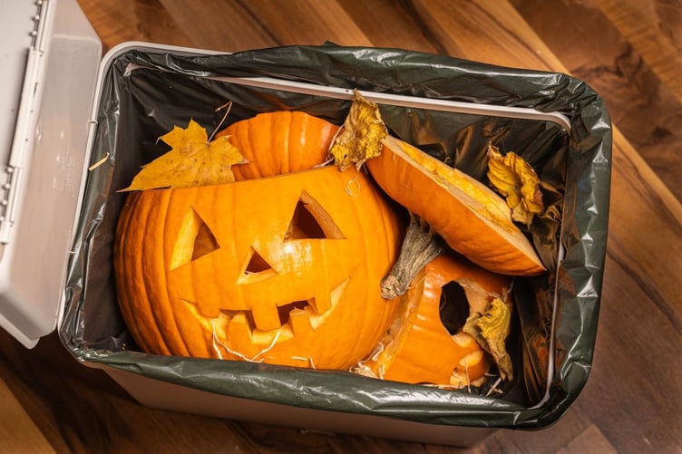 Pumpkins in the bin