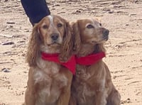 Fur-tastic fundraiser fetches £1,750 for charity