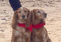 Fur-tastic fundraiser fetches £1,750 for charity