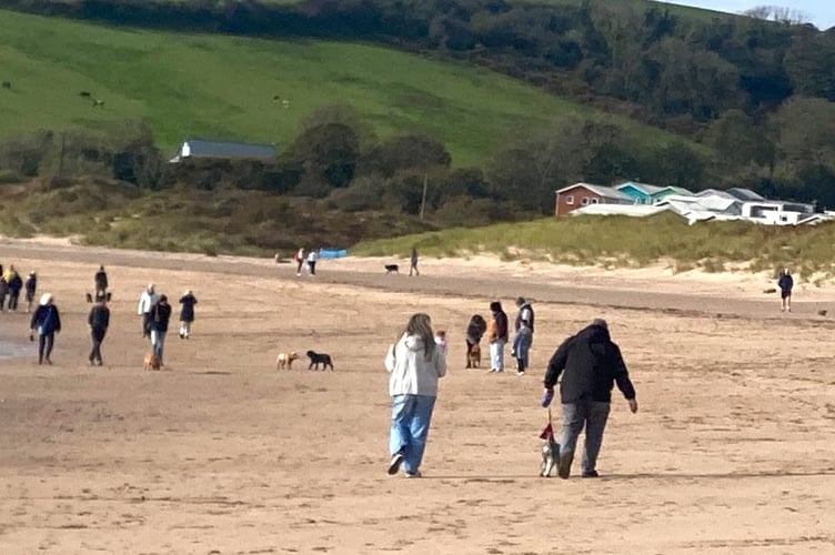 The fundraiser organised by Lamphey Women’s Institute, was held on Freshwater East Beach on Sunday, October 5, with nearly 100 waggy tails getting involved.