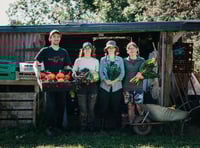 Pembrokeshire farm brings organic Welsh veg to schools