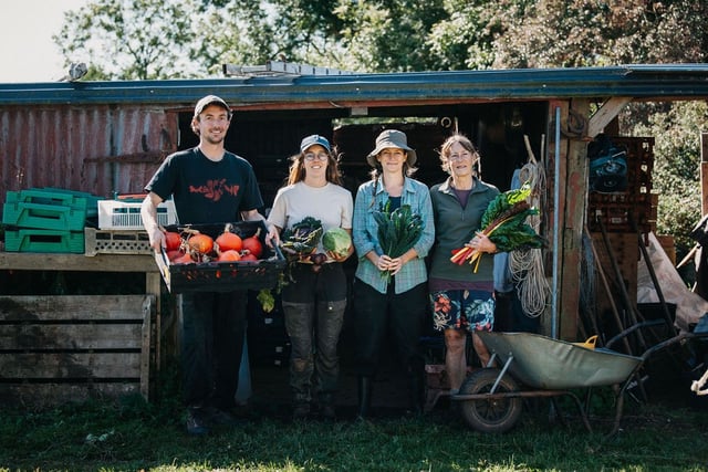 Pembrokeshire farm brings organic Welsh veg to schools