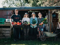 Pembrokeshire farm brings organic Welsh veg to schools