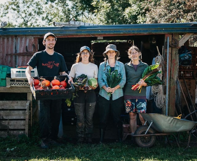 Pembrokeshire farm brings organic Welsh veg to schools