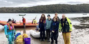 50,000 oysters restore Pembrokeshire marine life