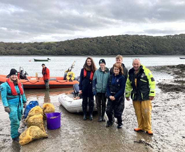 50,000 oysters restore Pembrokeshire marine life