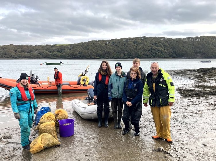 A major milestone in UK marine restoration as 50,000 native oysters deployed to rebuild Pembrokeshire reefs.