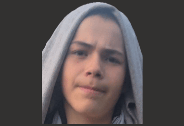 Police search for missing 13-year-old Kai from Carmarthen