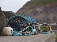 Pembrokeshire shellfish export business approved