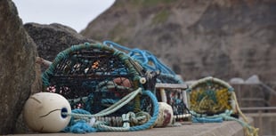 Pembrokeshire shellfish export business approved