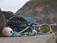 Pembrokeshire shellfish export business approved