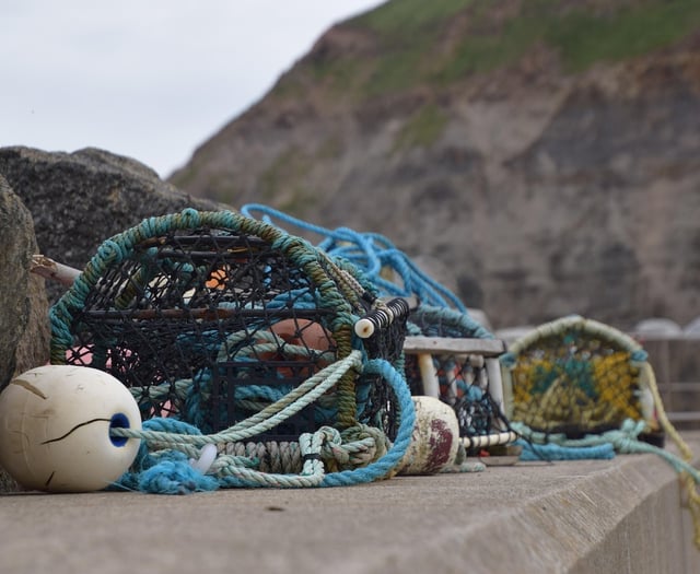 Pembrokeshire shellfish export business approved