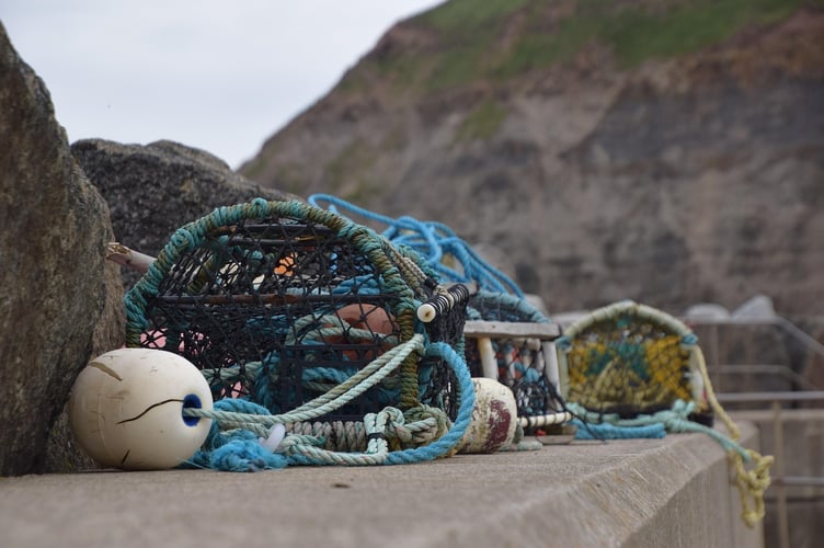 A certificate of lawfulness for the shellfish export business at White Lodge, Scamford Farm, near Keeston has been granted. Picture: Linda Harrison/Pixabay.