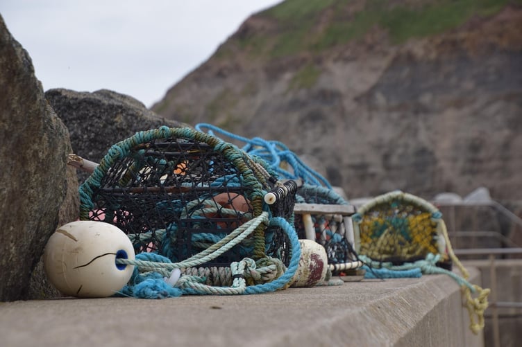 A certificate of lawfulness for the shellfish export business at White Lodge, Scamford Farm, near Keeston has been granted. Picture: Linda Harrison/Pixabay.