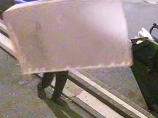 WATCH: Carmarthenshire chippy hunts mattress dumper
