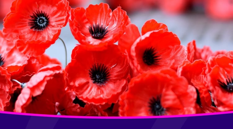 Remembrance travel 2025_cropped