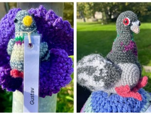 Penally Yarn Bombers honour war pigeons with colourful display