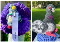 Penally Yarn Bombers honour war pigeons with colourful display