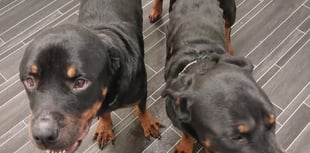 Pembrokeshire man banned over dog neglect