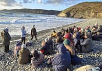 WATCH: Pembrokeshire residents rally to cheer farewell to Manx Shearwaters!