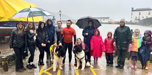 Meet the lifesaving Newfoundland dogs in Tenby