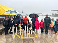 Meet the lifesaving Newfoundland dogs in Tenby