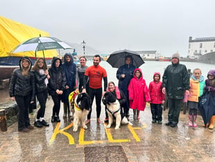 Meet the lifesaving Newfoundland dogs in Tenby