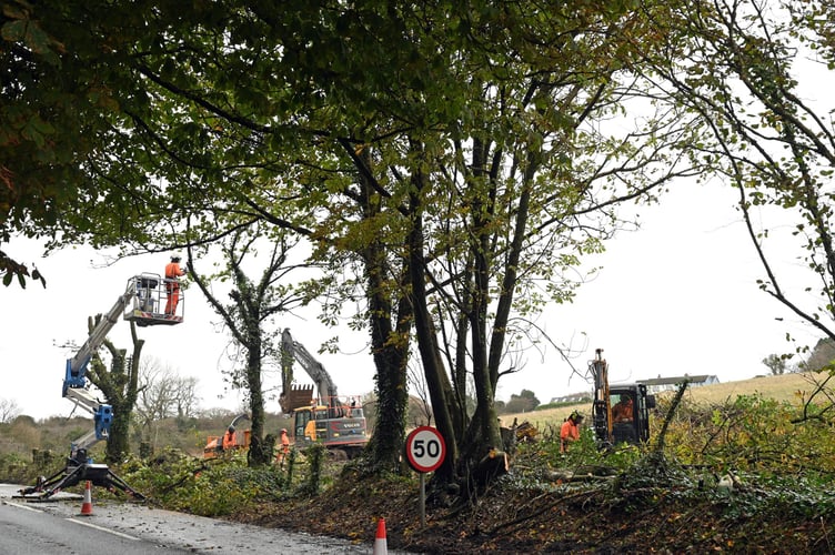 In total, 125 homes will be constructed by Pembrokeshire County Council at Brynhir.