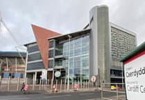 Wales v Argentina: Extra trains for fans heading to Principality Stadium