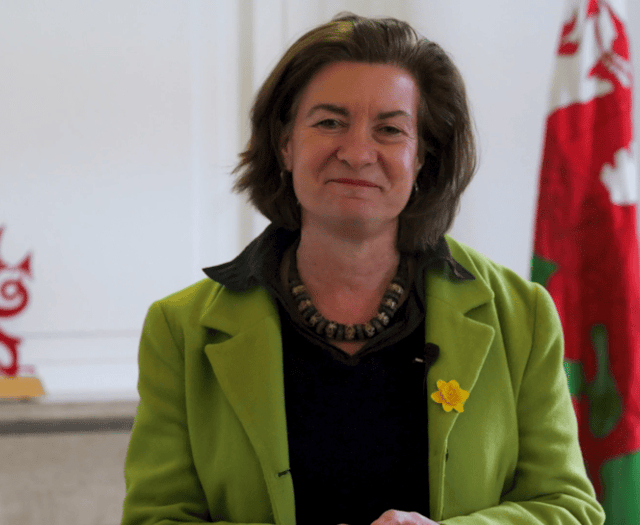 Apply for 2026 St David's Day Fund