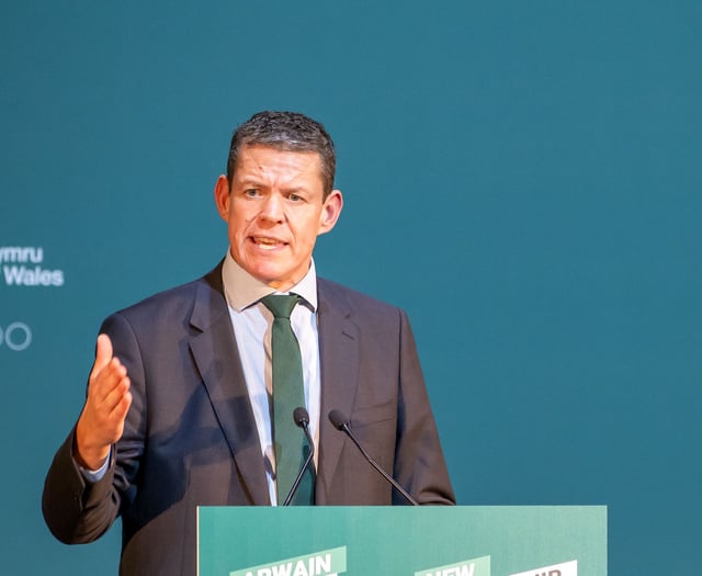 Plaid Cymru leader calls for peace on Armistice Day