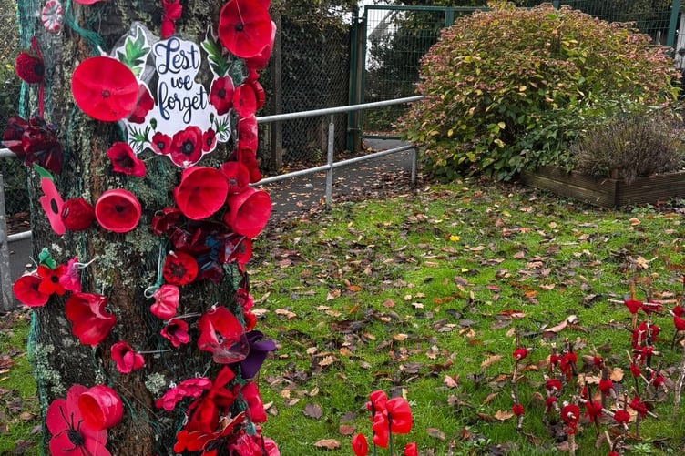 Remembrance Poppies at Saundersfoot CP School