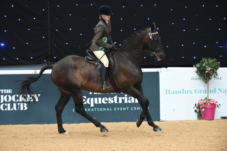 Samantha seen competing on 'Up For An Oscar' (stable name Ozzy) at Aintree.