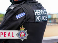 Police probe Haverfordwest burglaries
