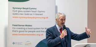 Welsh Government boosts local food networks with new funding