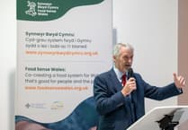 Welsh Government boosts local food networks with new funding