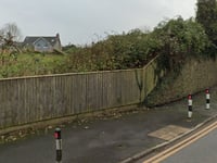 Pembrokeshire town and community councils to manage allotments?