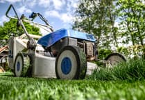 Carmarthenshire traders urged to join Buy With Confidence gardening scheme