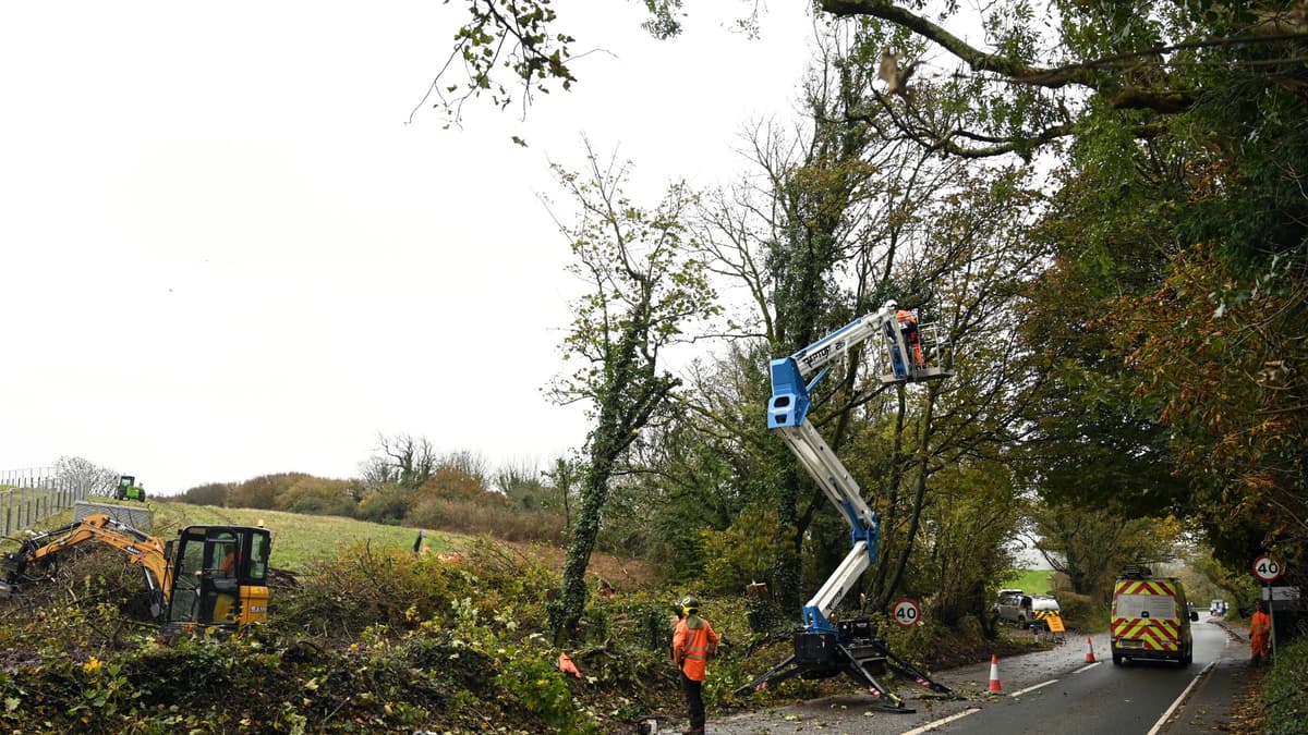 Ecological measures and traffic management 'essential' for Brynhir