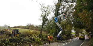 Ecological measures and traffic management 'essential' for Brynhir