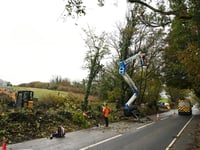 Ecological measures and traffic management 'essential' for Brynhir