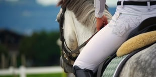 Pembrokeshire riding charges debate backed