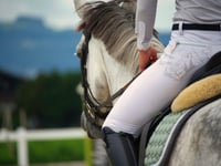 Pembrokeshire riding charges debate backed